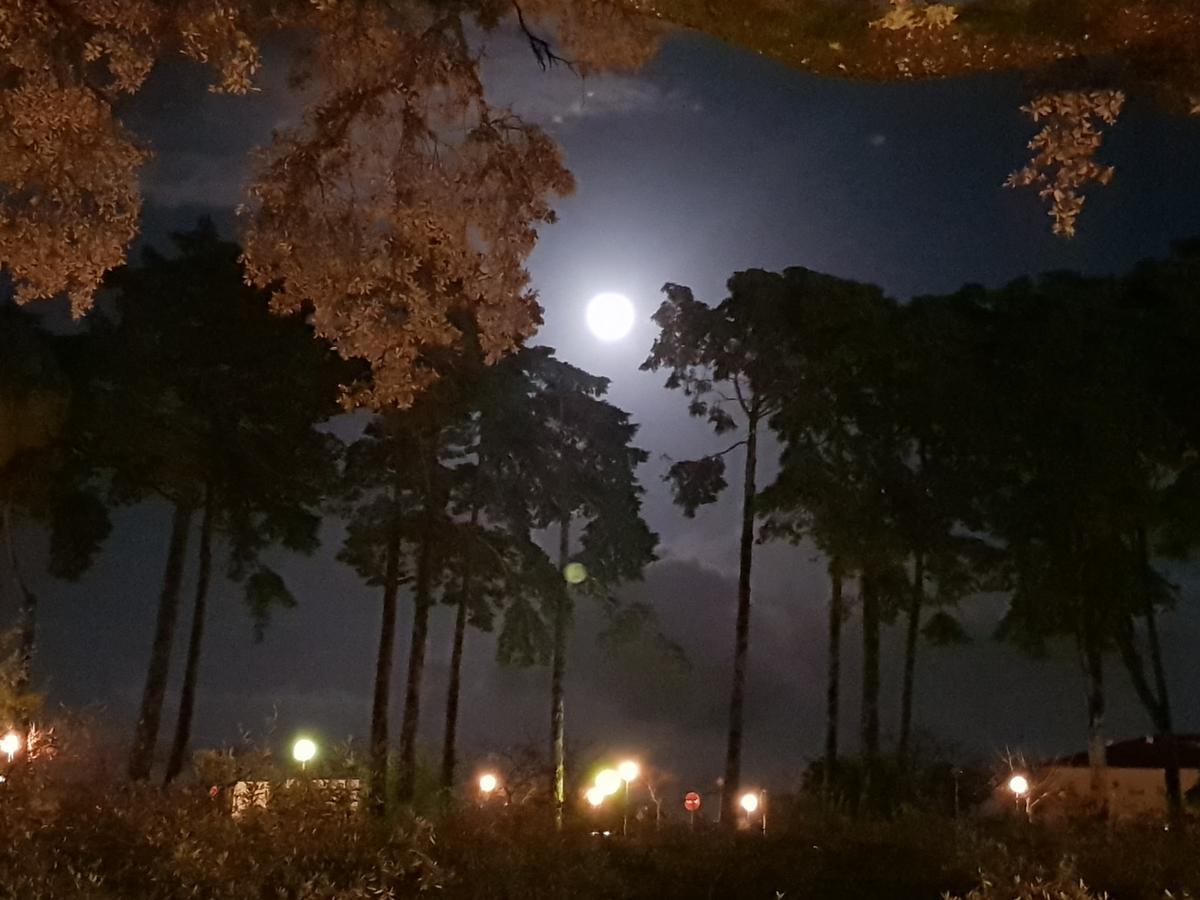 Casa Dos Tios 호텔 파티마 외부 사진