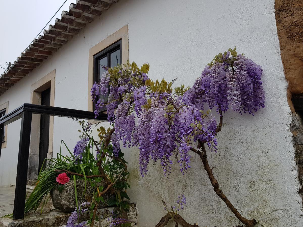 Casa Dos Tios 호텔 파티마 외부 사진
